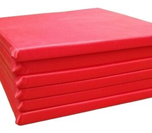 Almohadones de silla x 6